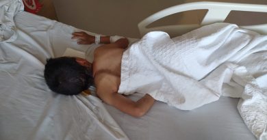 Ankara’da uçurtmasının peşinden koşan çocuğa köpekler saldırdı