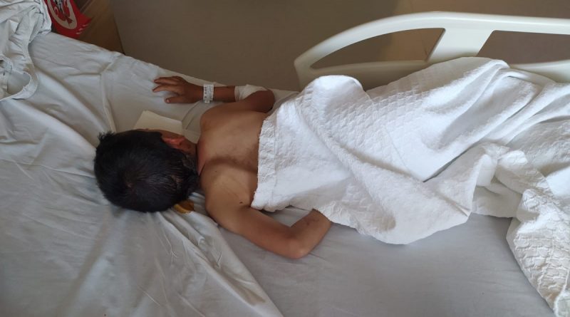 Ankara’da uçurtmasının peşinden koşan çocuğa köpekler saldırdı