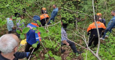 Artvin’de uçuruma yuvarlanan yaşlı adam hayatını kaybetti