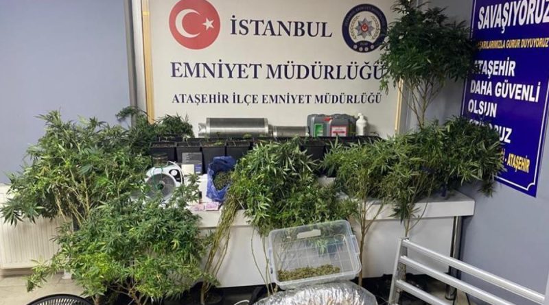 Ataşehir’de lüks rezidansta uyuşturucu serasına baskın: 2 gözaltı