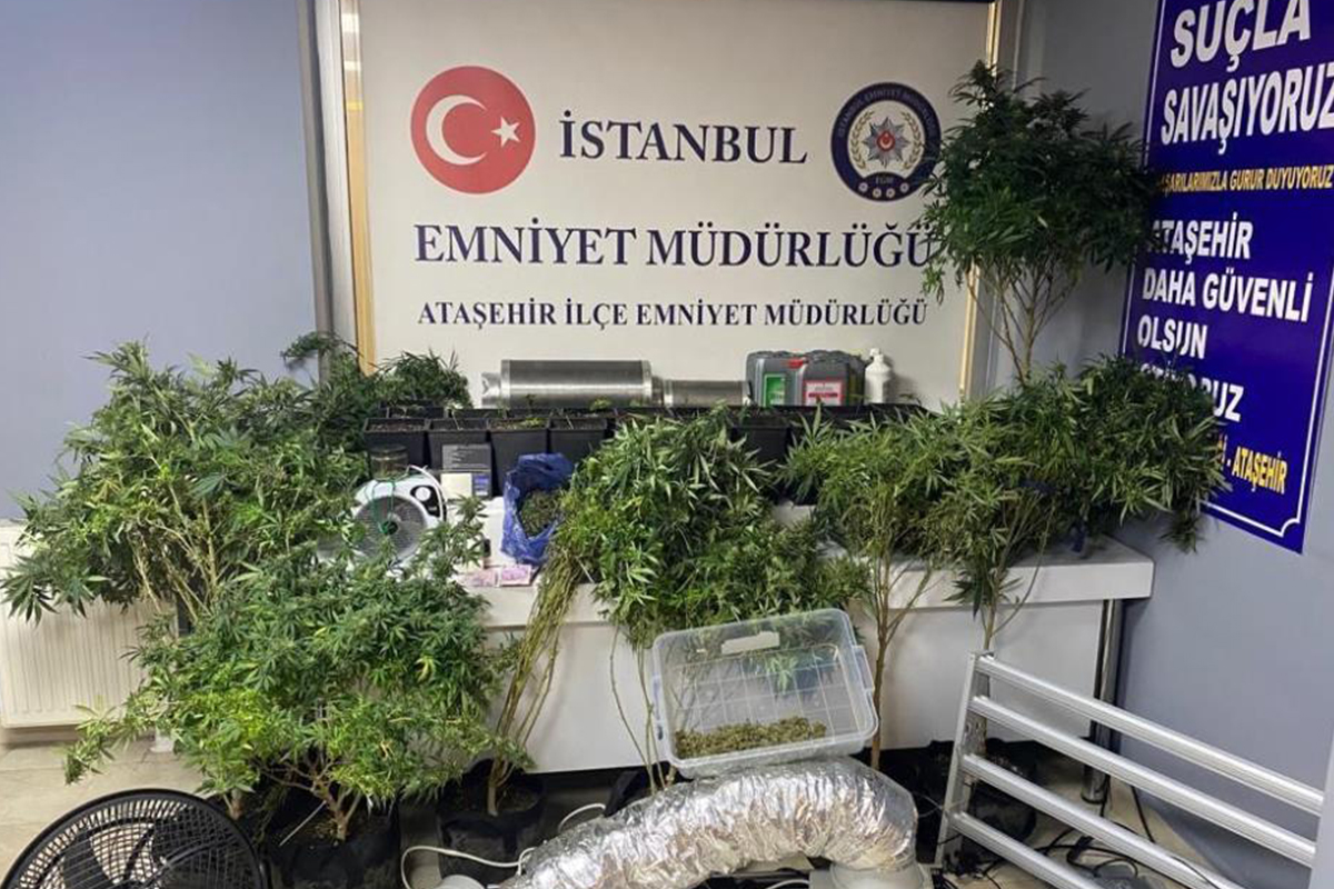 Ataşehir’de lüks rezidansta uyuşturucu serasına baskın: 2 gözaltı