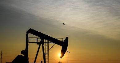 Avusturya, Rusya'dan petrol ithalatını durdurdu