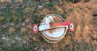 Bingöl’de düdüklü tencere içindeki EYP imha edildi