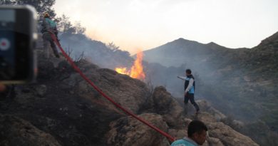 Bodrum’da yeniden başlayan orman yangını kontrol altına alındı