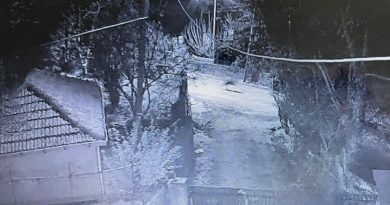 Çocuklar kaçtı, köpekler kovaladı