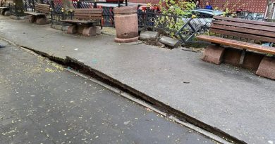 Esenler’de yola devrilen ağaç korku doymuş anlar yaşattı