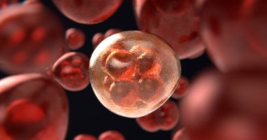 Gizemli hepatitten ilk can kaybı