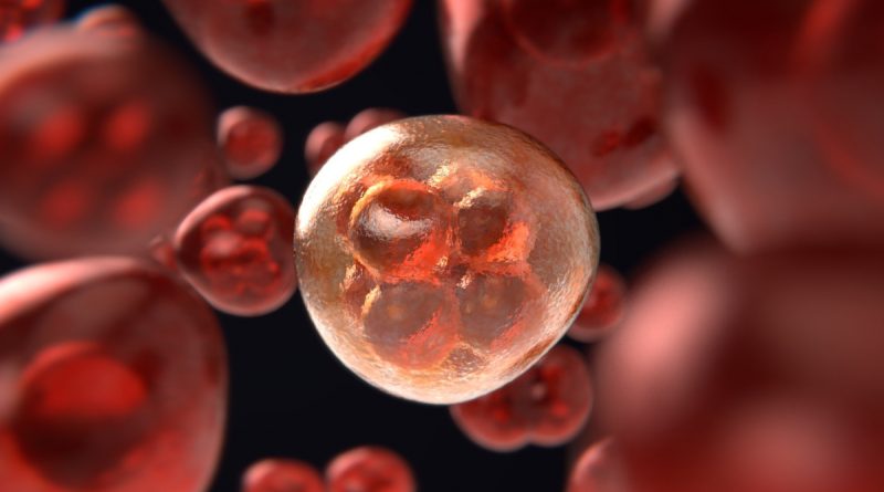 Gizemli hepatitten ilk can kaybı