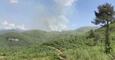 Hatay'da çıkan orman yangını söndürüldü