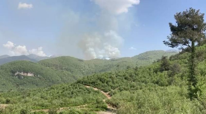 Hatay'da çıkan orman yangını söndürüldü