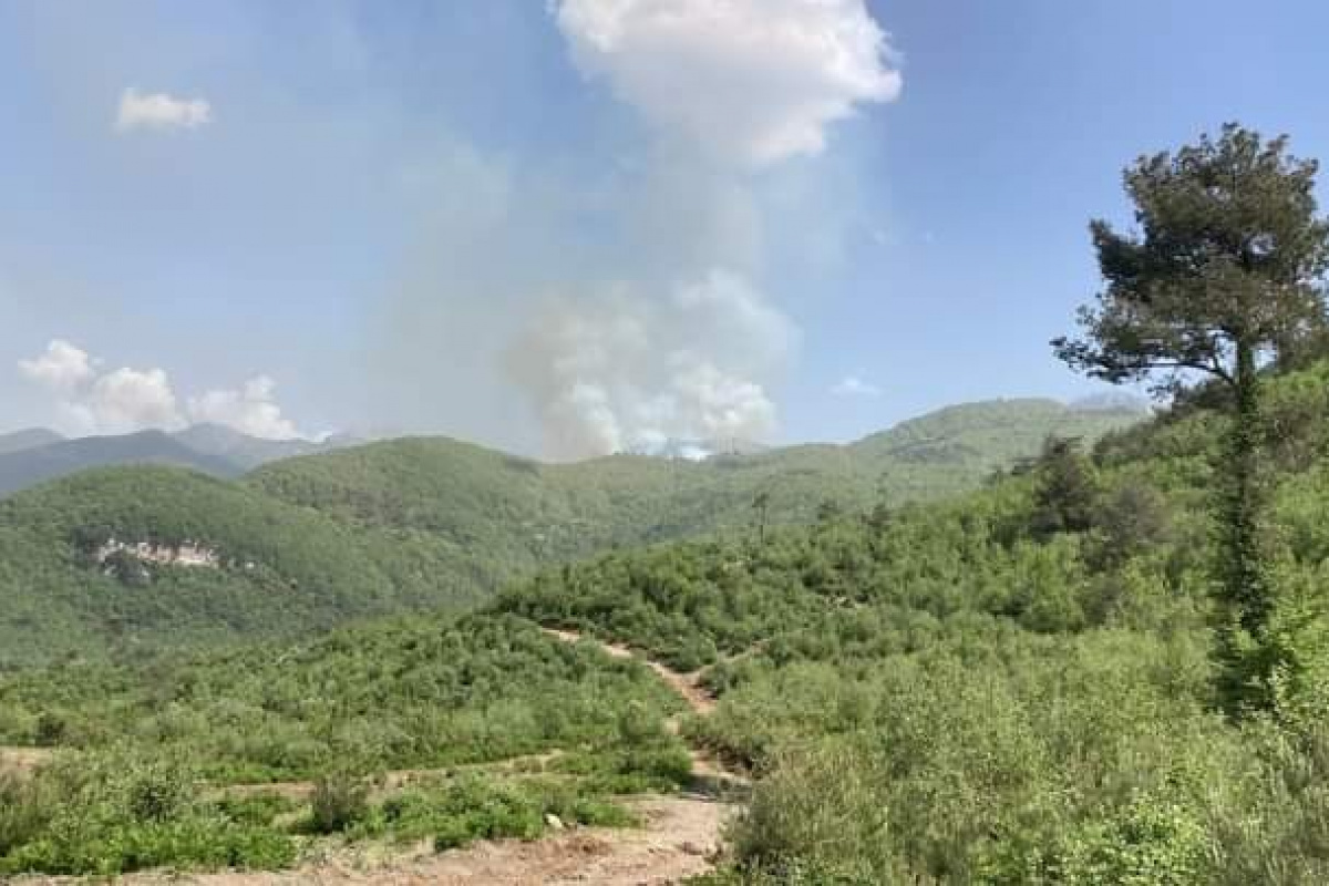 Hatay'da çıkan orman yangını söndürüldü
