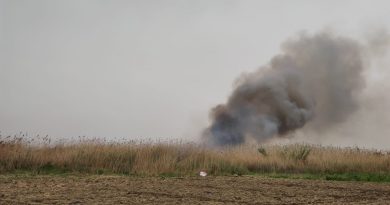 Hatay'da sazlık alanda yangın