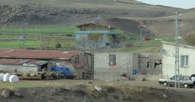 Hayvan sulatma meselesi kanlı bitti: 1 ölü, 2 yaralı