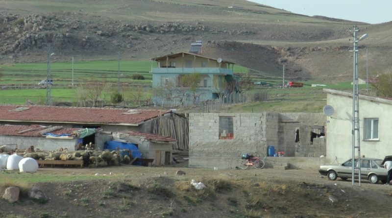 Hayvan sulatma meselesi kanlı bitti: 1 ölü, 2 yaralı