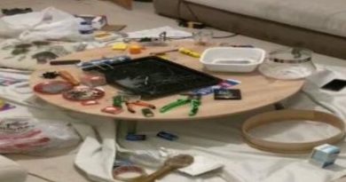 İstanbul’da, eylem hazırlığındaki DKP/BÖG hücresi çökertildi