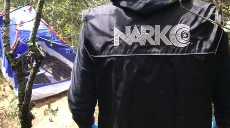 Kamp çadırı değil, zehir çadırı