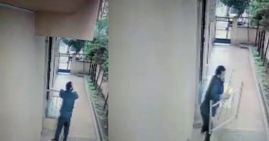 Kartal'da bir hırsız, apartman girişindeki demir korkulukları parçalayarak çaldı