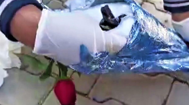 Kırmızı gülün altından uyuşturucu çıktı