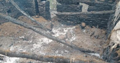 Kulp’ta ahır yangını: 76 hayvan telef oldu