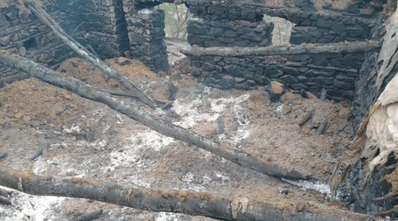 Kulp’ta ahır yangını: 76 hayvan telef oldu