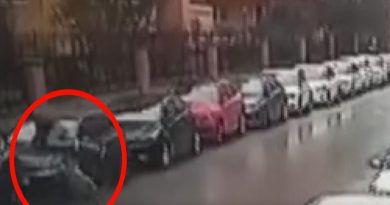 Maltepe’de Pitbullun saldırdığı vatandaş otomobilin üzerine çıkarak canını kurtardı
