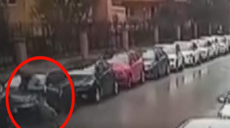 Maltepe’de Pitbullun saldırdığı vatandaş otomobilin üzerine çıkarak canını kurtardı