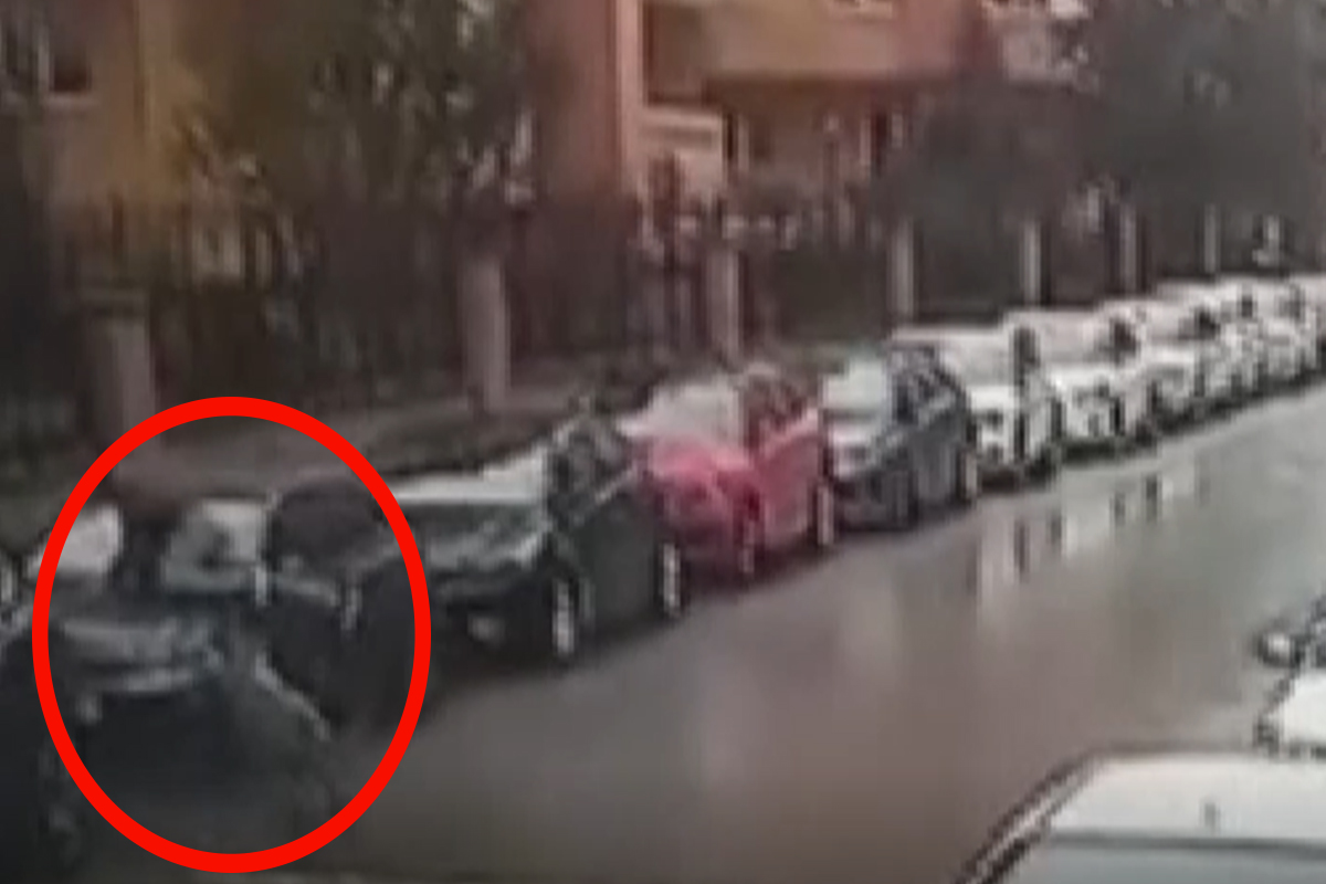 Maltepe’de Pitbullun saldırdığı vatandaş otomobilin üzerine çıkarak canını kurtardı