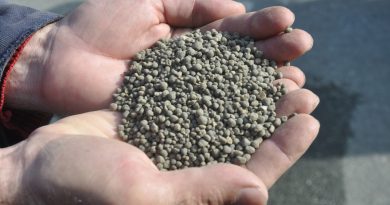 Mermer tozu iddialarıyla gündeme gelmişlerdi, Rize'de yeniden gübre dağıtımı yaptılar