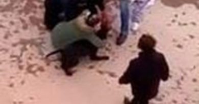 Minik Asiye’ye pitbull saldırısında tahliye edilen 3 sanık tekrar tutuklandı