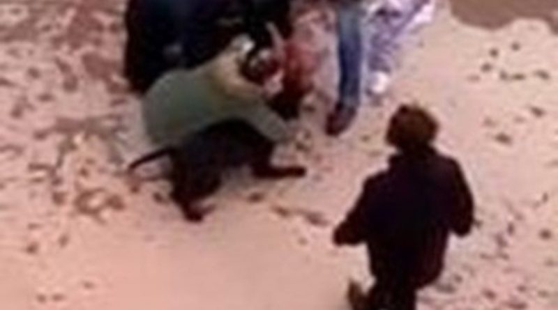 Minik Asiye’ye pitbull saldırısında tahliye edilen 3 sanık tekrar tutuklandı