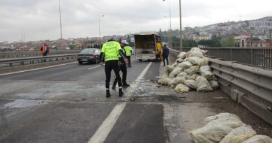 Mısır yüklü kamyonet yola devrildi