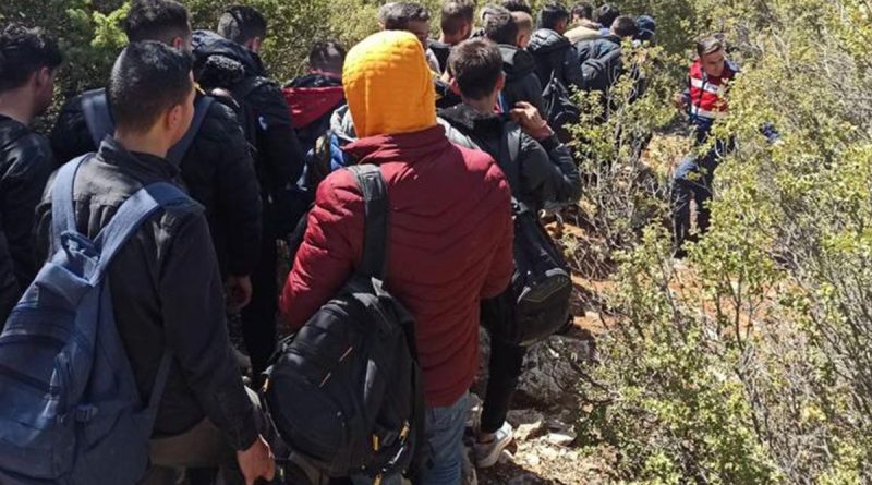 Muğla’da son 4 ayda 2311 düzensiz göçmen yakalandı