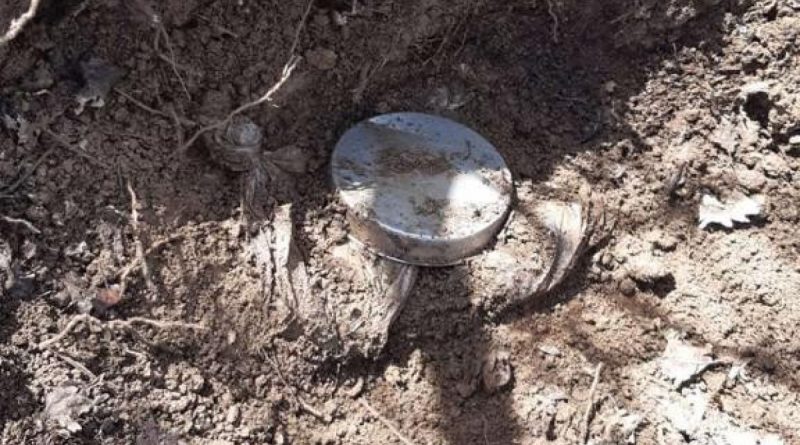 Muş kırsalında toprağa gömülü vaziyette 12 kg patlayıcı madde ele geçirildi