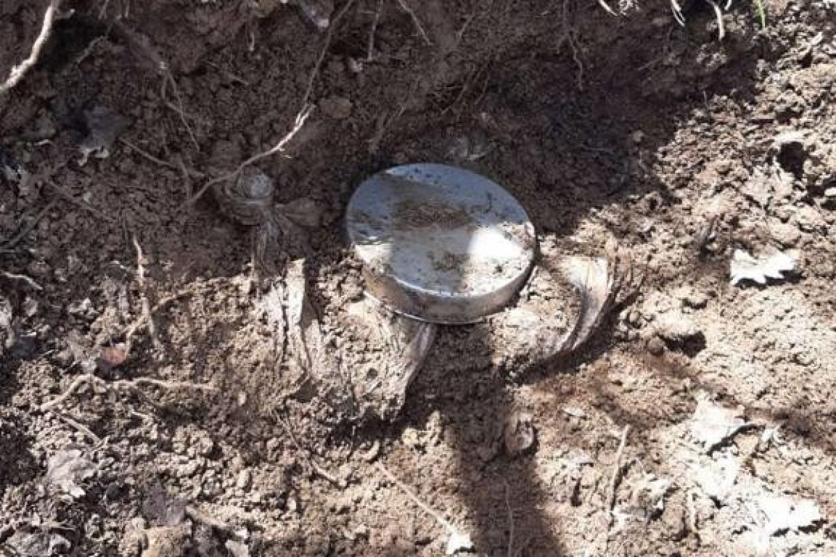 Muş kırsalında toprağa gömülü vaziyette 12 kg patlayıcı madde ele geçirildi