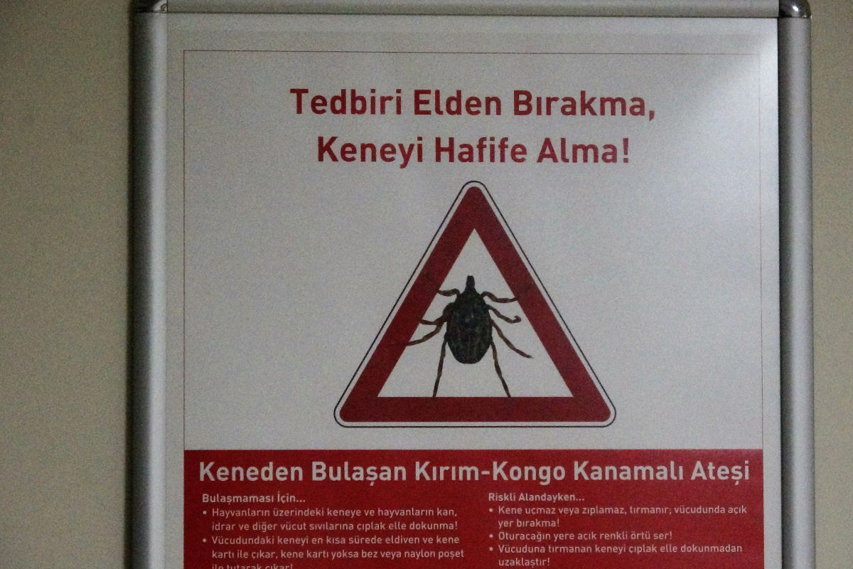 Ölümcül kene vakaları görülmeye başlandı