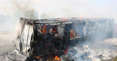 Pamuk yüklü tırın dorsesi alev alev yandı
