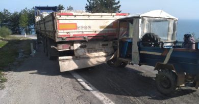 Pat pat tıra çarptı, buruları bile kanamadan kurtuldular