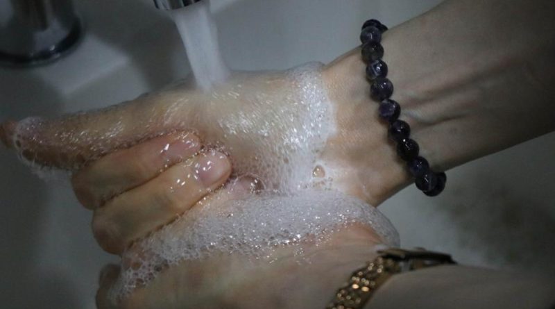 'Salmonella' vakaları: 'Gıda sektöründe çalışanların yüzde 60’ı ellerini doğru yıkamıyor'