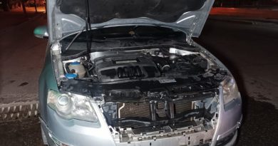 Seyir halindeki otomobil alev alarak yandı