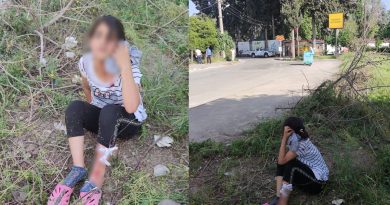 Sokak köpekleri küçük çocuğu yaraladı