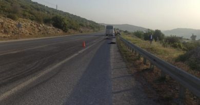 Tarım işçilerini taşıyan minibüs sürüye çarptı: 15 küçükbaş hayvan telef oldu