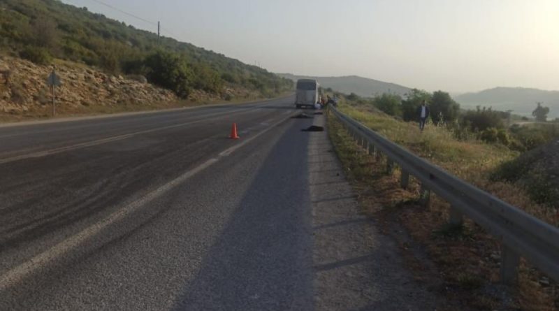 Tarım işçilerini taşıyan minibüs sürüye çarptı: 15 küçükbaş hayvan telef oldu