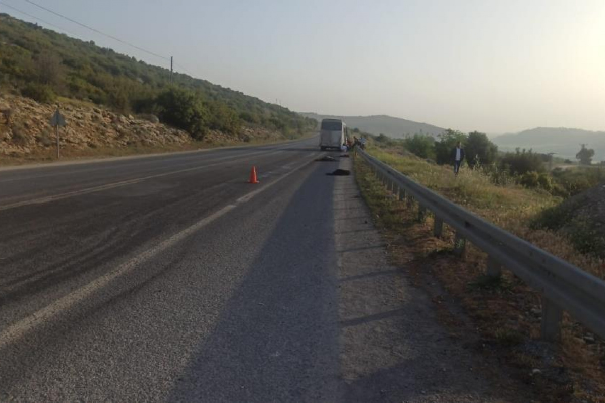 Tarım işçilerini taşıyan minibüs sürüye çarptı: 15 küçükbaş hayvan telef oldu