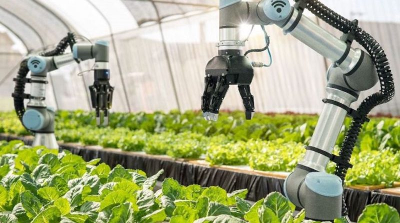 Tarım teknolojileri girişimleri verimliliğe odaklandı