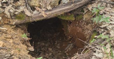 Tunceli’de Eren Kış-23 operasyonlarında 3 sığınak imha edildi