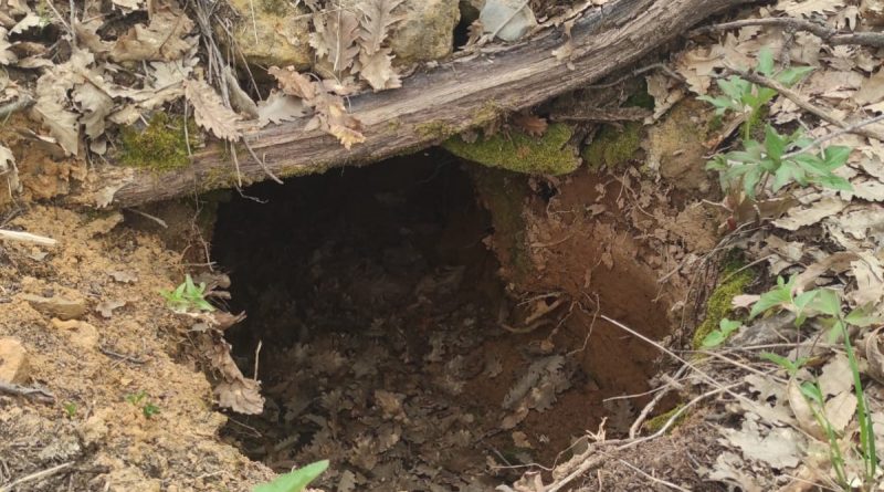 Tunceli’de Eren Kış-23 operasyonlarında 3 sığınak imha edildi