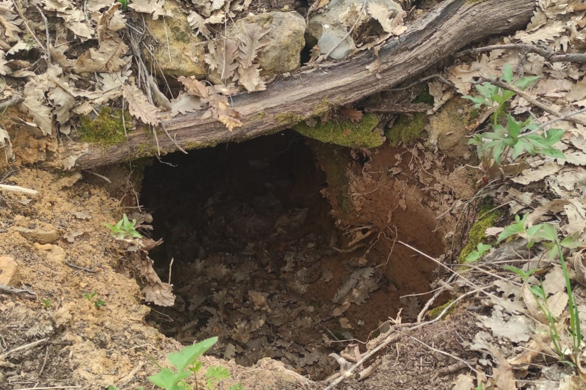 Tunceli’de Eren Kış-23 operasyonlarında 3 sığınak imha edildi