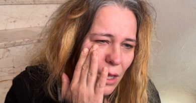 Uçağın kanadının çarptığı ev sahibi şok geçirdi, hastaneye kaldırıldı