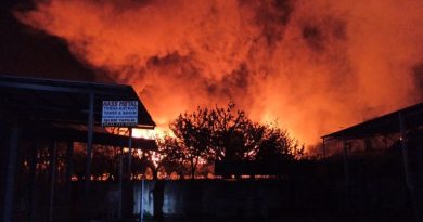 Yalova’da kereste fabrikasında korkutan yangın