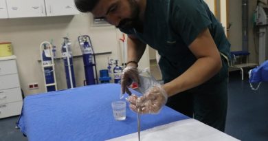 Yaz aylarının korkulu rüyası kene tutulmalarına karşı önemli uyarı